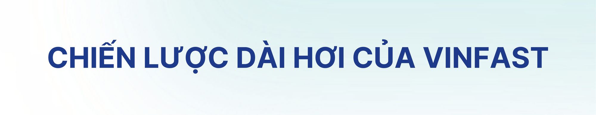 Sự bùng nổ trong phân khúc xe dịch vụ và chiến lược vững chắc của VinFast - Ảnh 6.